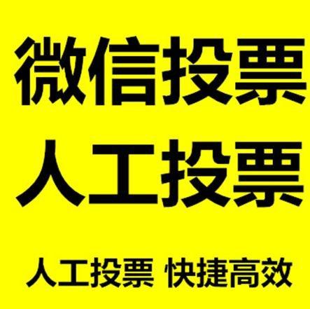 扬州市微信刷票怎么投票